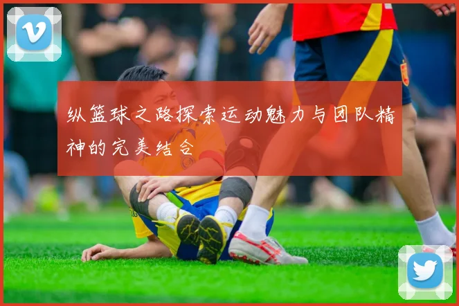 纵篮球之路探索运动魅力与团队精神的完美结合