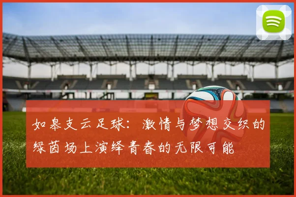 如皋支云足球：激情与梦想交织的绿茵场上演绎青春的无限可能