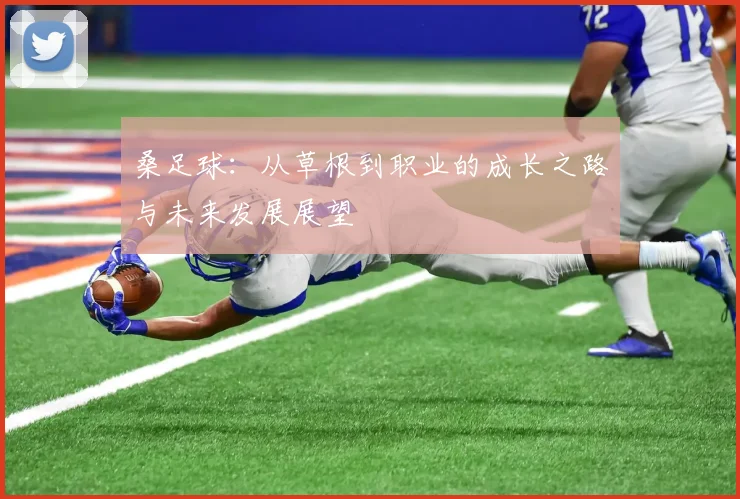 桑足球：从草根到职业的成长之路与未来发展展望