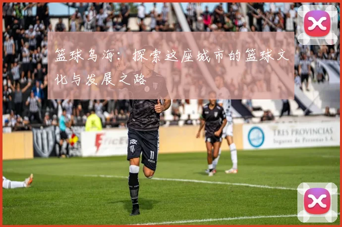 篮球乌海：探索这座城市的篮球文化与发展之路